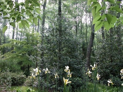 près des culands